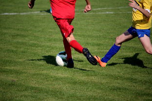 开云官网-瑞典乒乓球队逆转日本乒乓球队，波尔惊艳世界