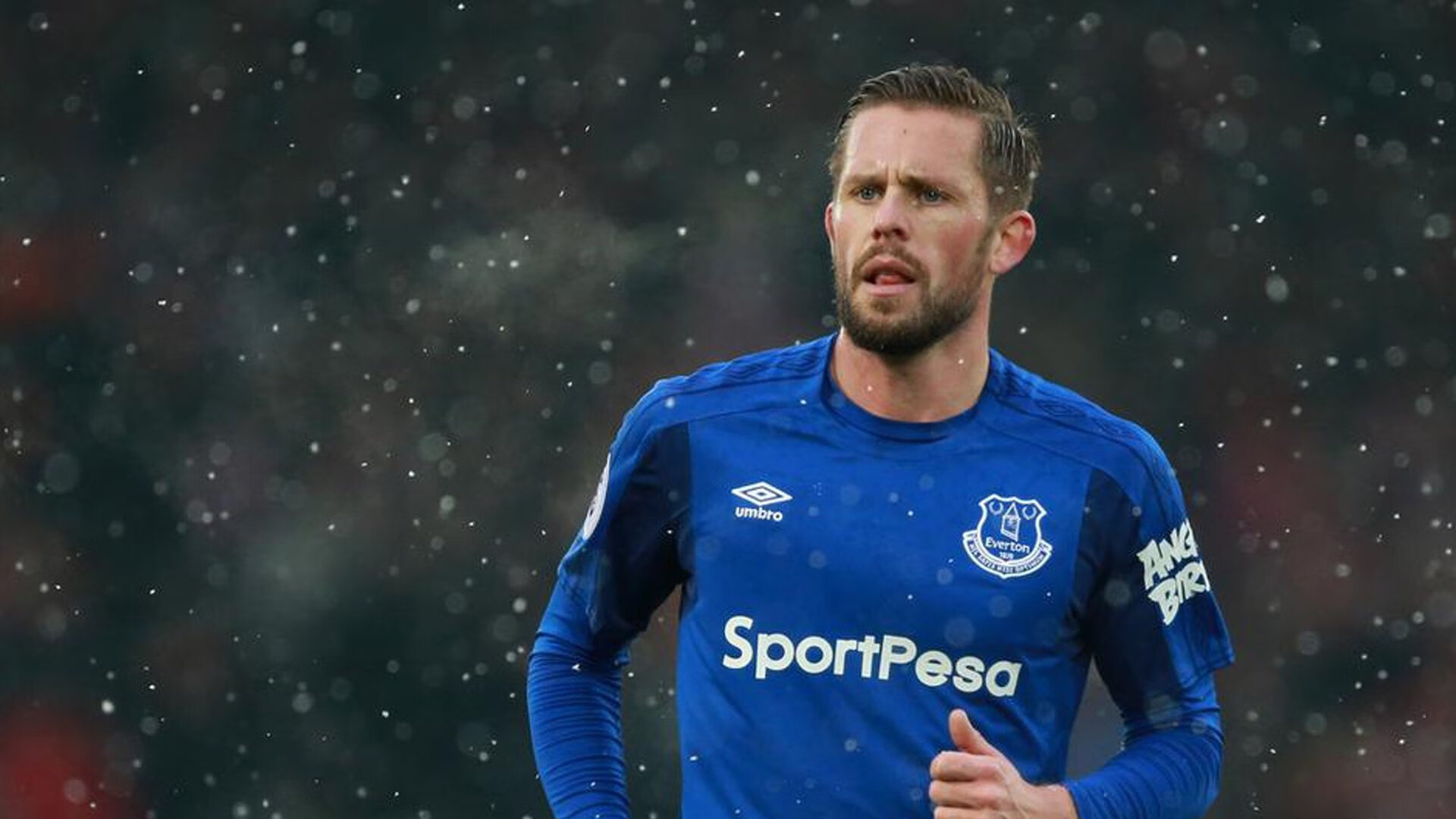 雪域雄鹰险胜北境狼群，字母哥铁血证明，唯实力永恒