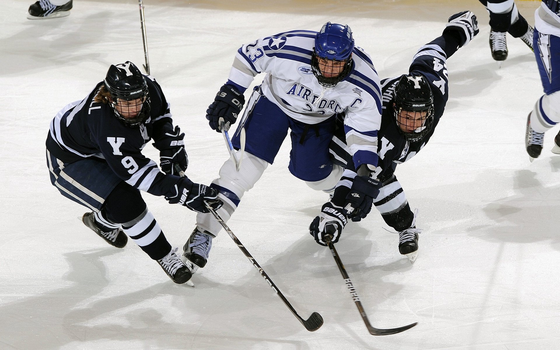 双重赛场,张继科点燃的激情与韩国队险胜波兰的启示